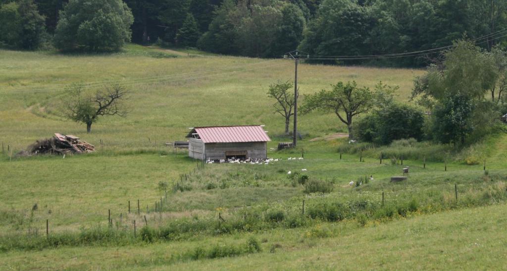 Gites Du Kreuzweg Le Hohwald Buitenkant foto