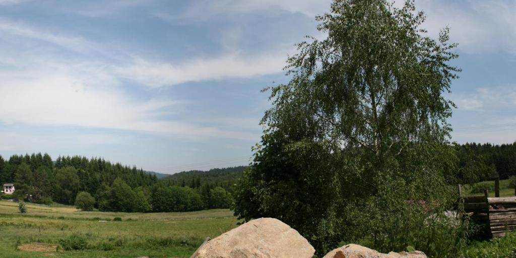 Gites Du Kreuzweg Le Hohwald Buitenkant foto
